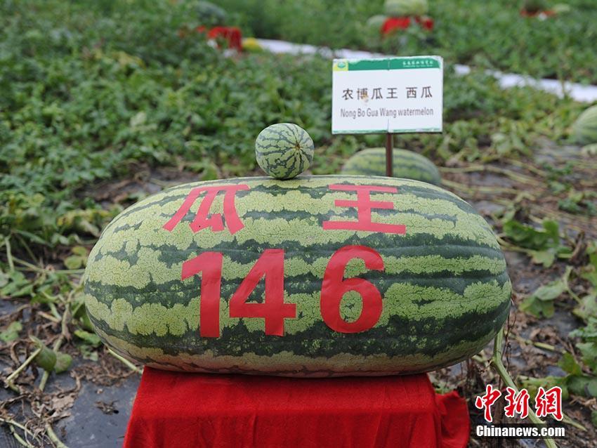 开拓者正义之怒御衡道途怎么解锁