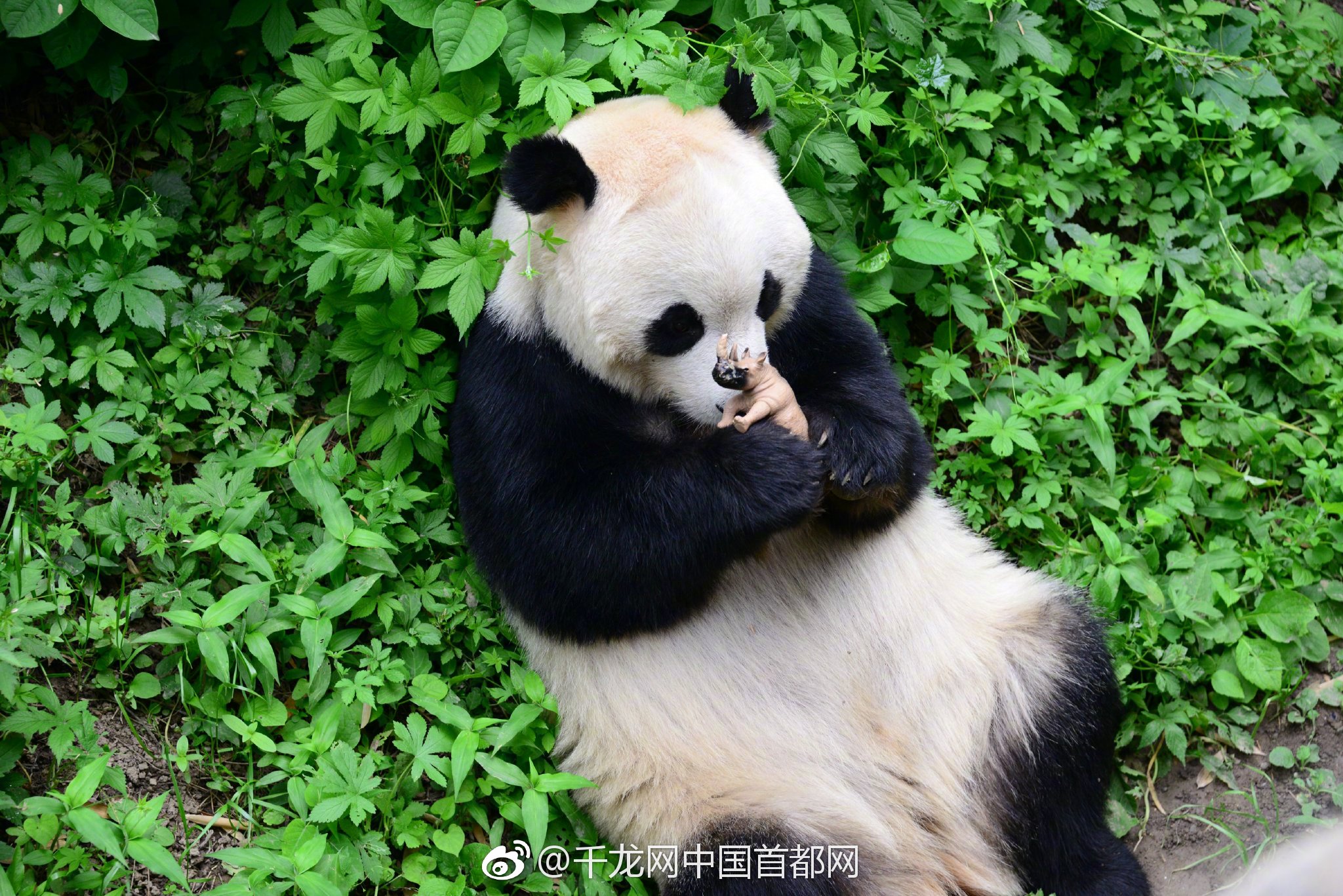 [必赢app下载]