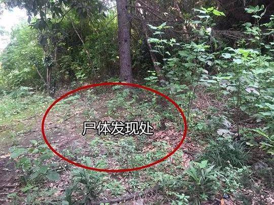 漫野奇谭常青之力怎么获得